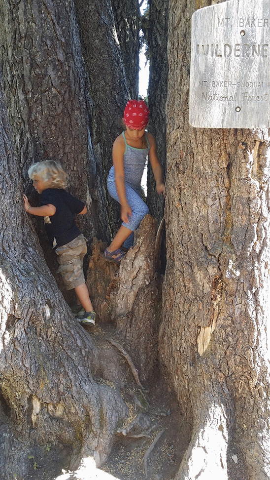 20140914_164122-MOTION